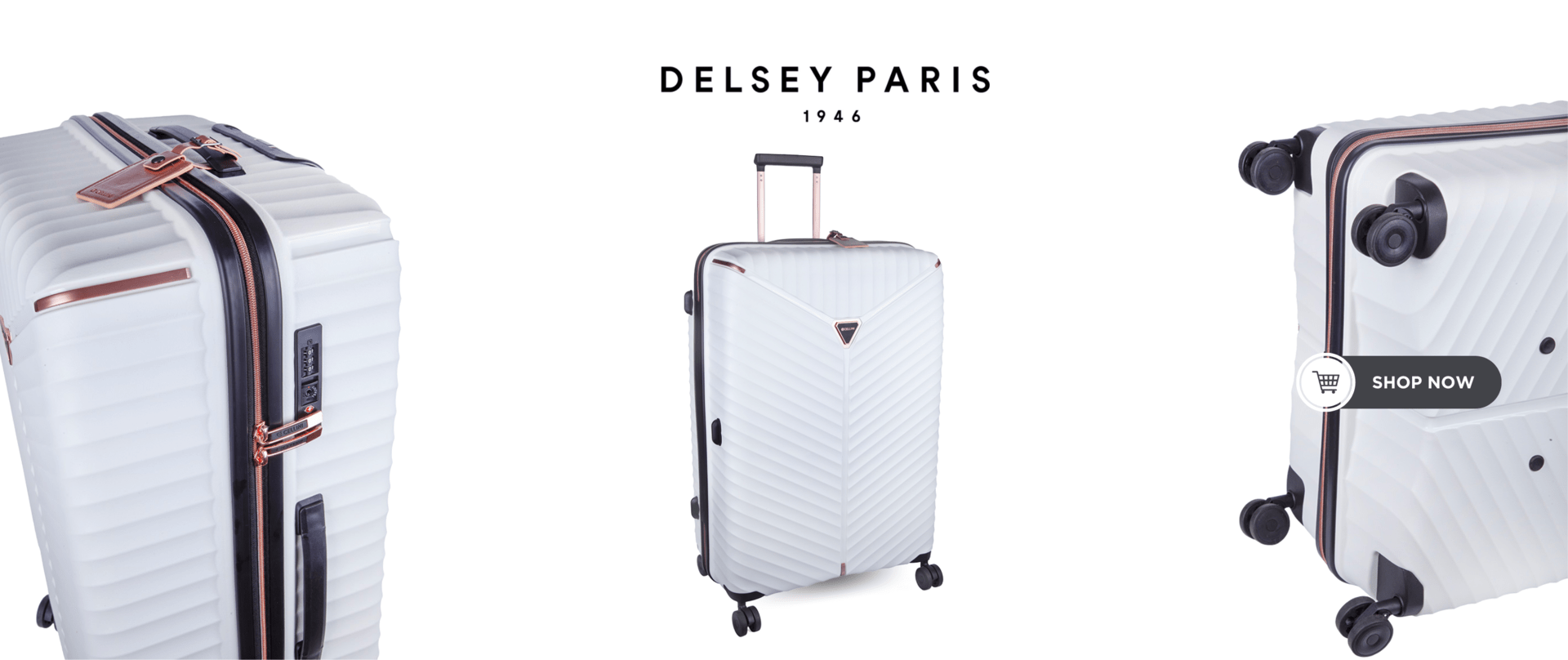 Delsey Paris Products
