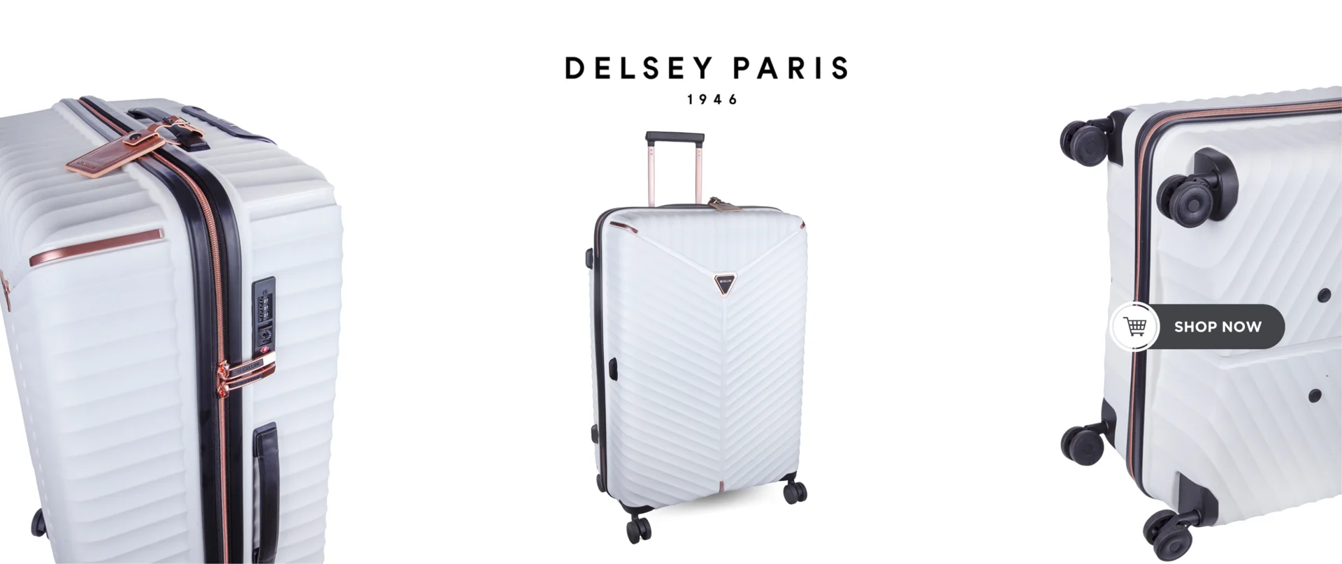 Delsey Paris Products